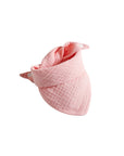 Olive Baby Bib V