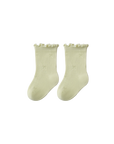 5-Pack Pastel Lace-Trim Baby Socks – Soft Cotton Baby Socks with Frilled Edge